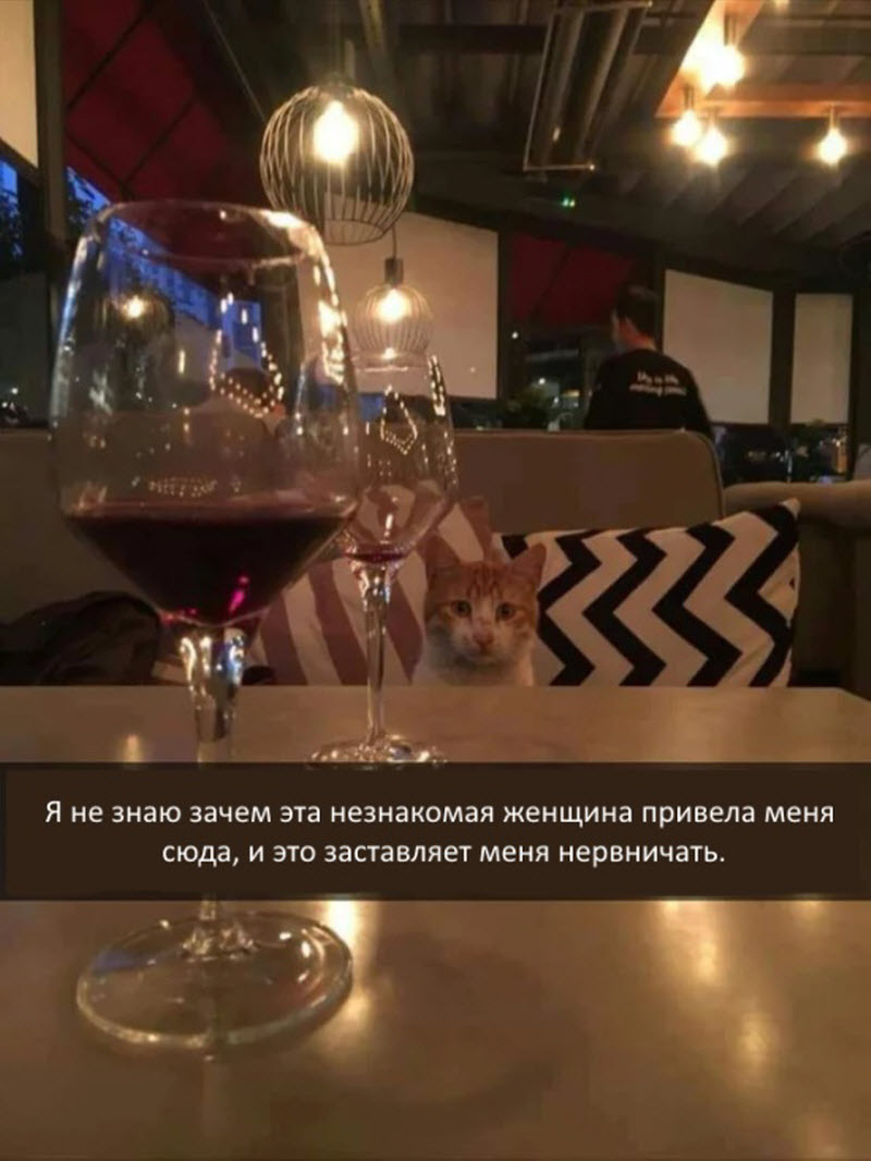 Прикольные картинки