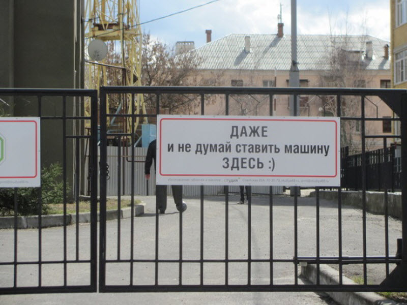 Прикольные картинки