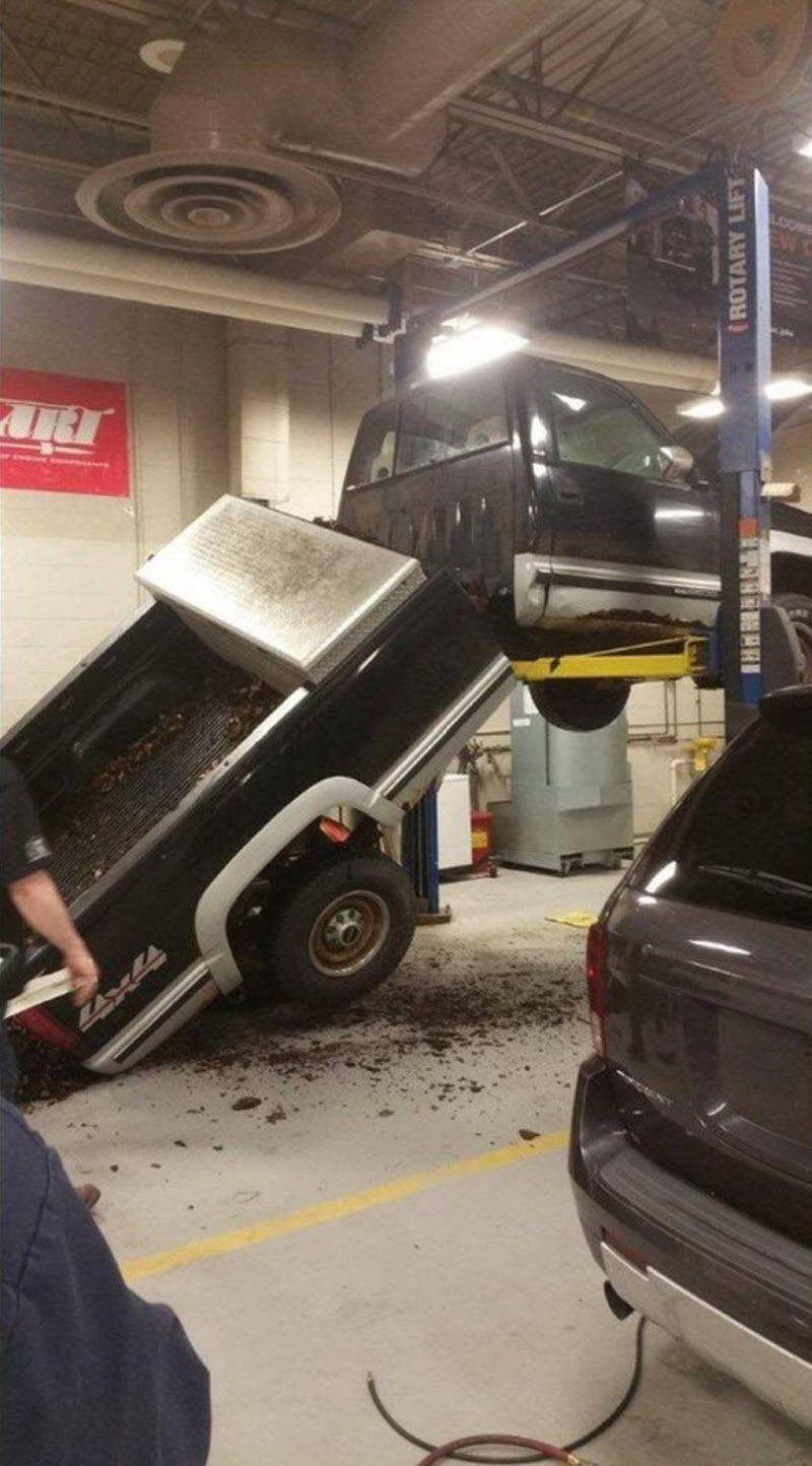 Прикольные картинки