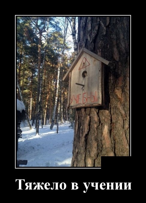 Демотиваторы