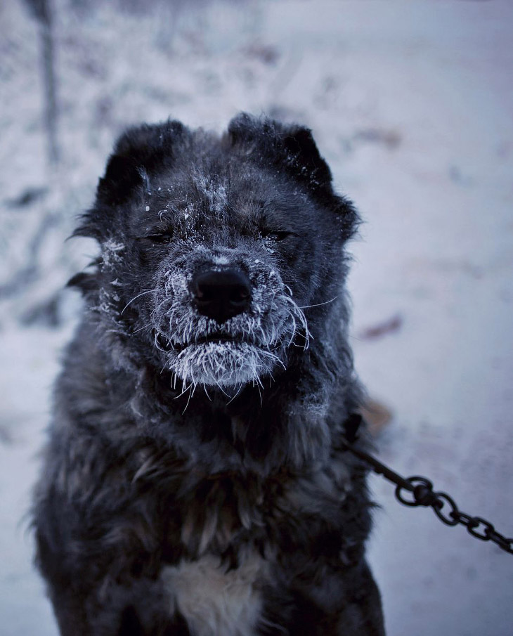 Рейтинг самых экстремальных городов мира Рейтинг самых экстремальных городов мира