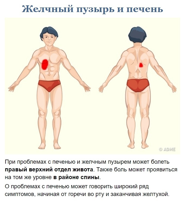 Как узнать что болит?