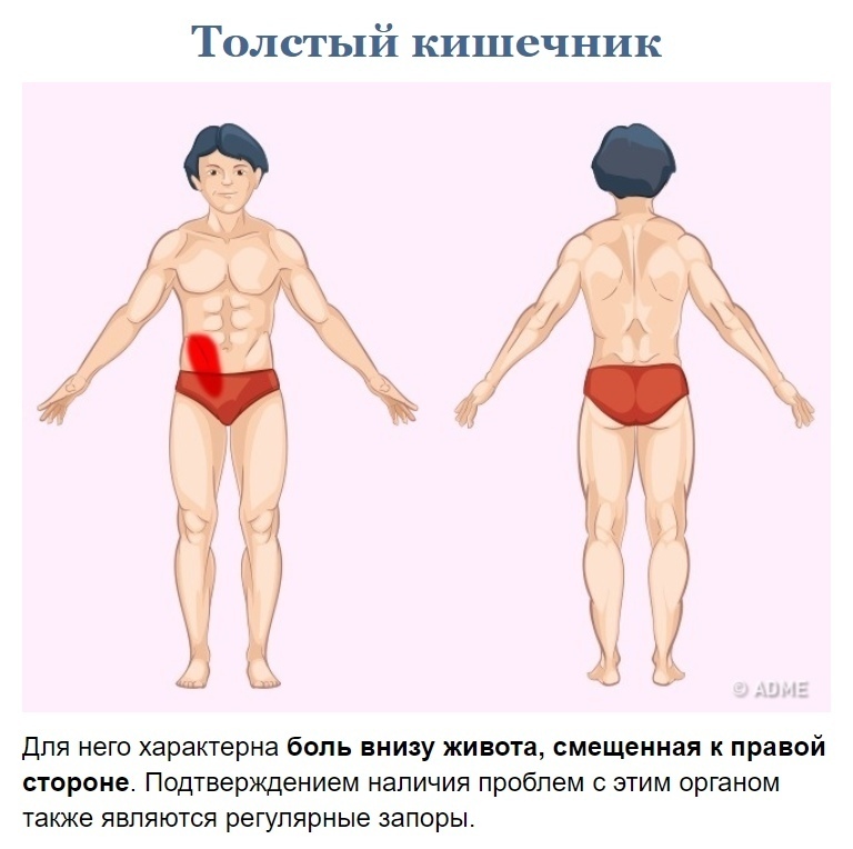 Как узнать что болит?