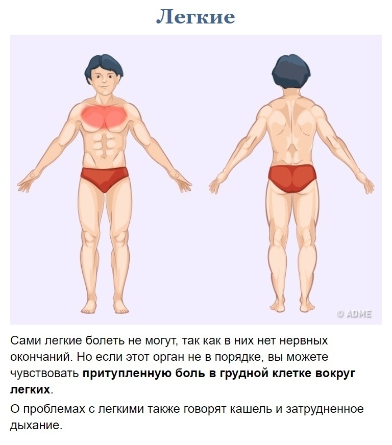 Как узнать что болит?