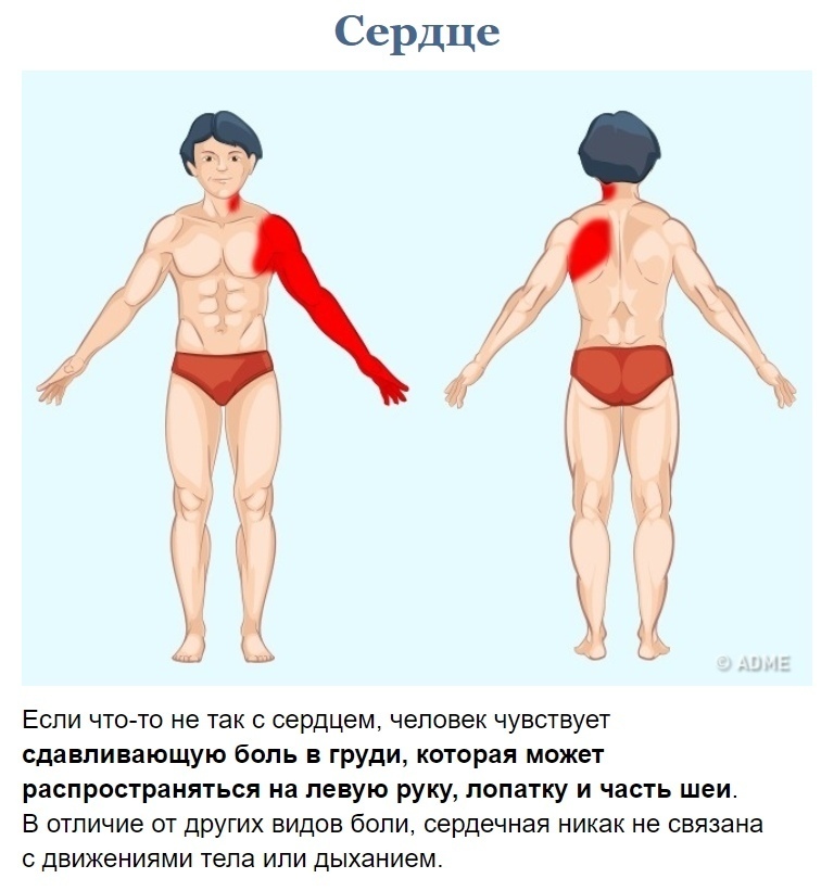 Как узнать что болит?