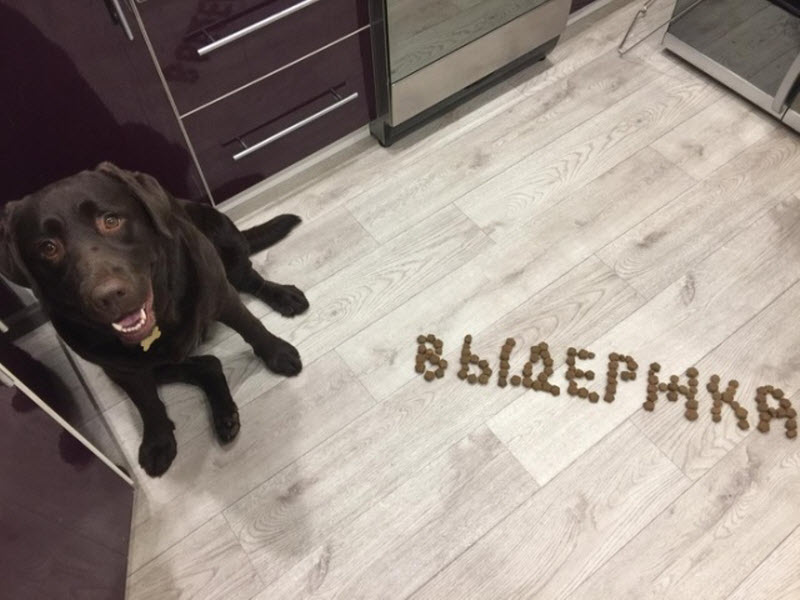 Прикольные картинки
