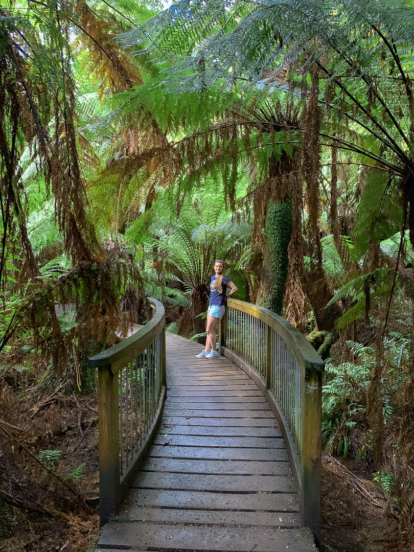 Что обязательно нужно сделать в Австралии Что обязательно нужно сделать в Австралии