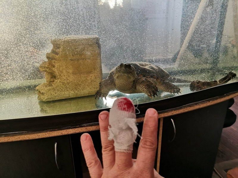 Бывают в жизни огорчения...