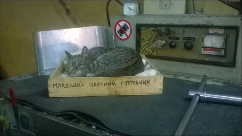 Прикольные картинки