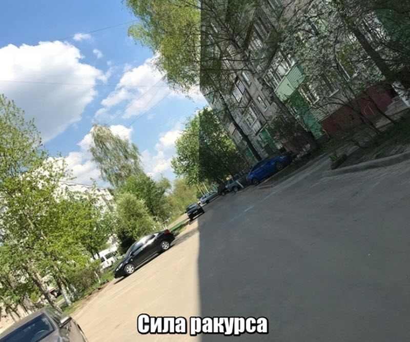 Прикольные картинки