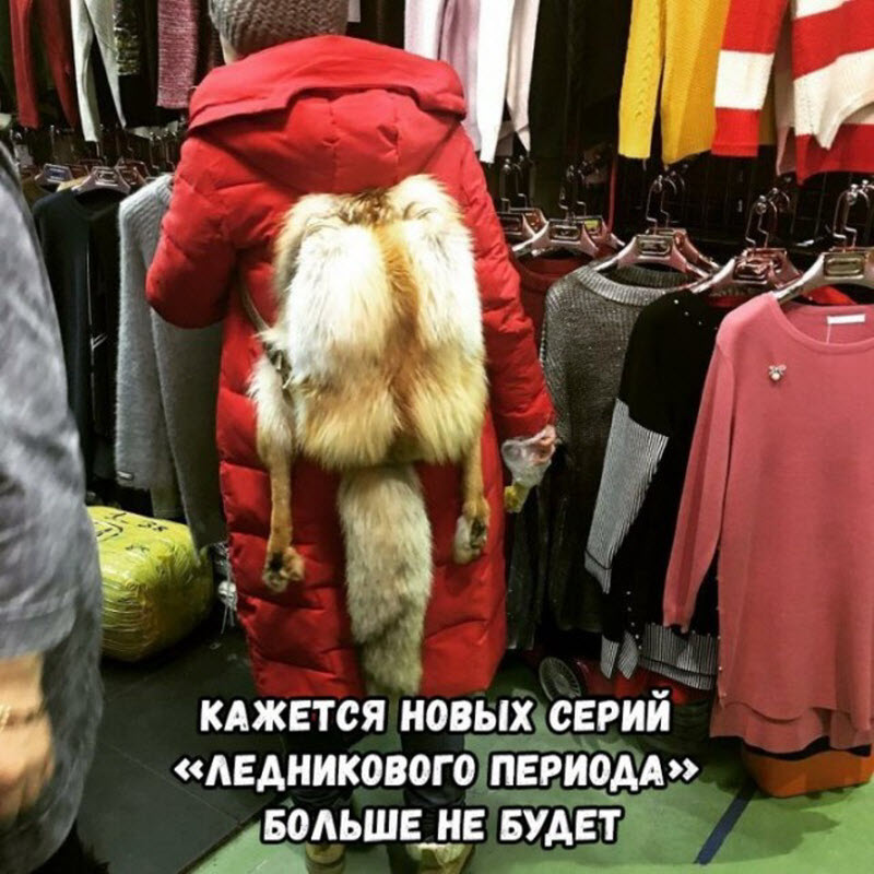 Прикольные картинки