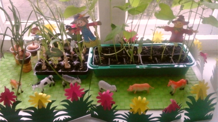 Правила выращивания рассады на балконе или подоконнике Правила выращивания рассады на балконе или подоконнике