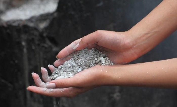 Правила выращивания рассады на балконе или подоконнике Правила выращивания рассады на балконе или подоконнике