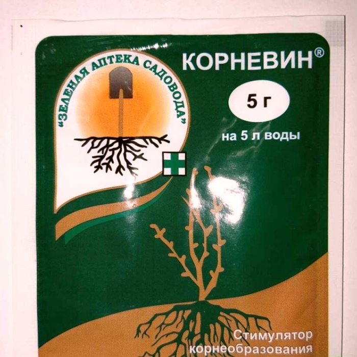 Правила выращивания рассады на балконе или подоконнике Правила выращивания рассады на балконе или подоконнике