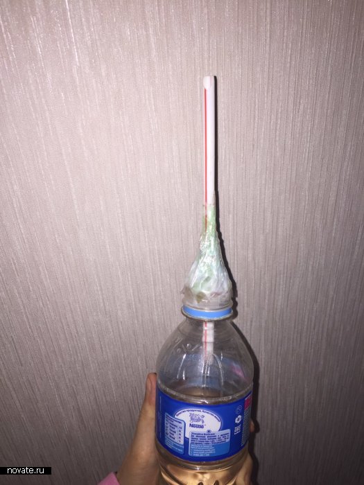 Правила выращивания рассады на балконе или подоконнике Правила выращивания рассады на балконе или подоконнике