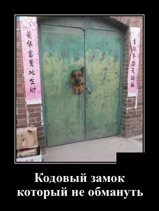 Демотиваторы