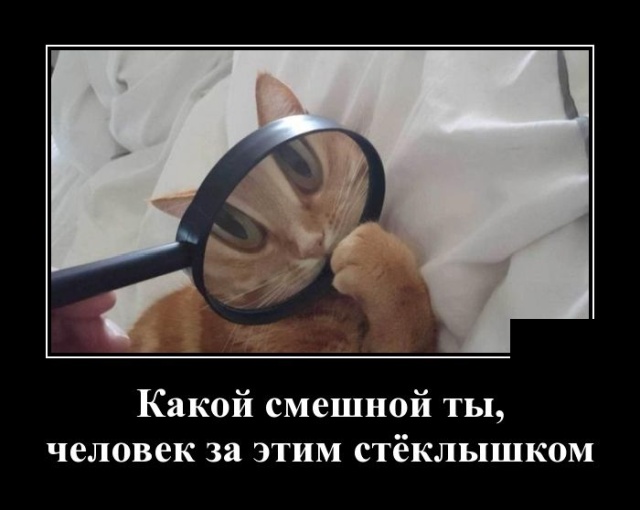 Демотиваторы