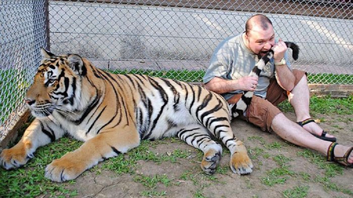 Самые известные номинанты Премии Дарвина Самые известные номинанты Премии Дарвина