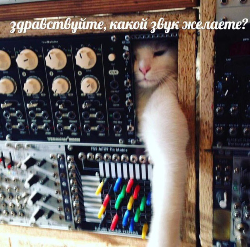 Прикольные картинки