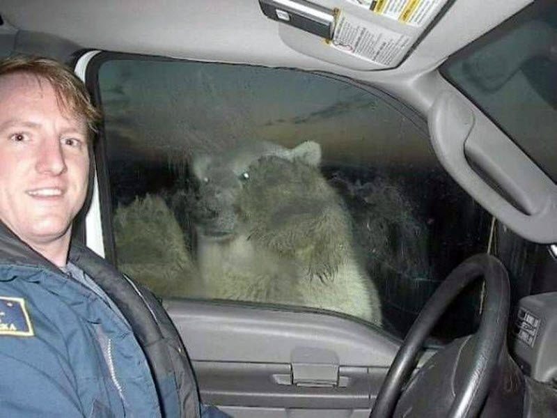 17 личностей, которые сохраняют спокойствие даже в самых странных ситуациях