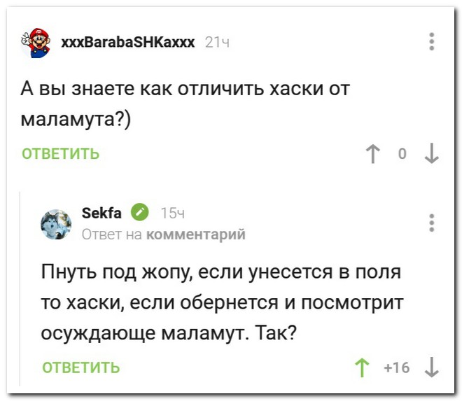 Забавные комментарии из социальных сетей