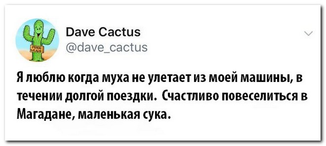 Забавные комментарии из социальных сетей