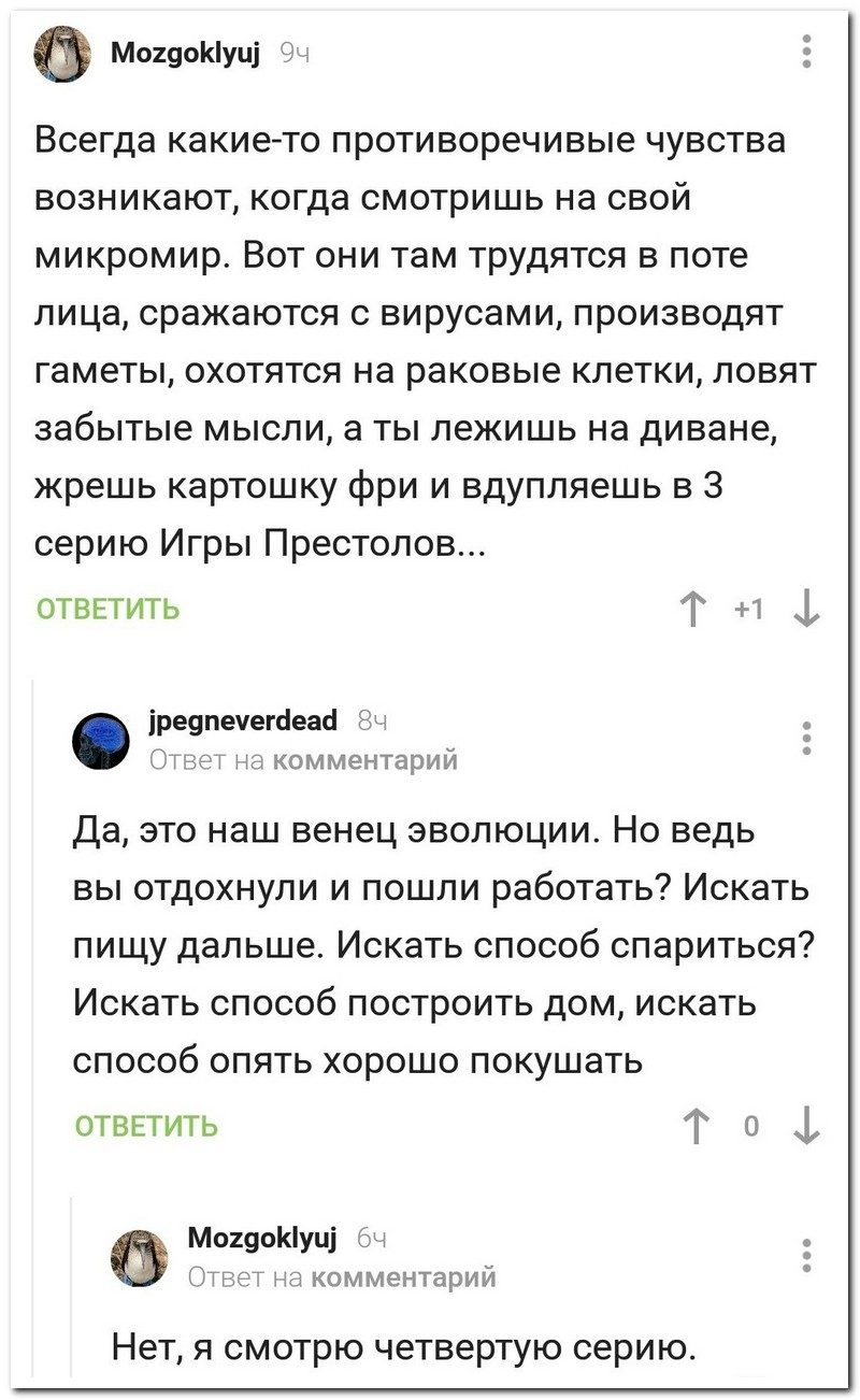 Забавные комментарии из социальных сетей