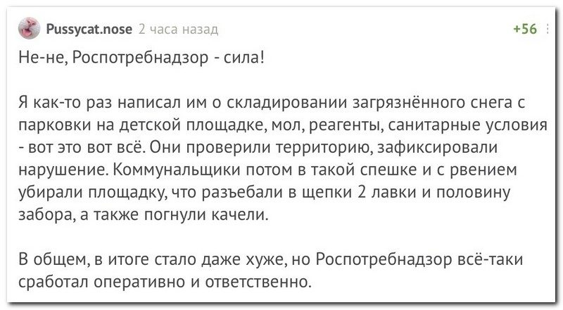 Забавные комментарии из социальных сетей