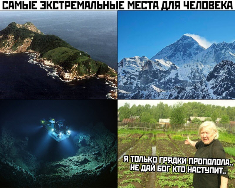Прикольные картинки