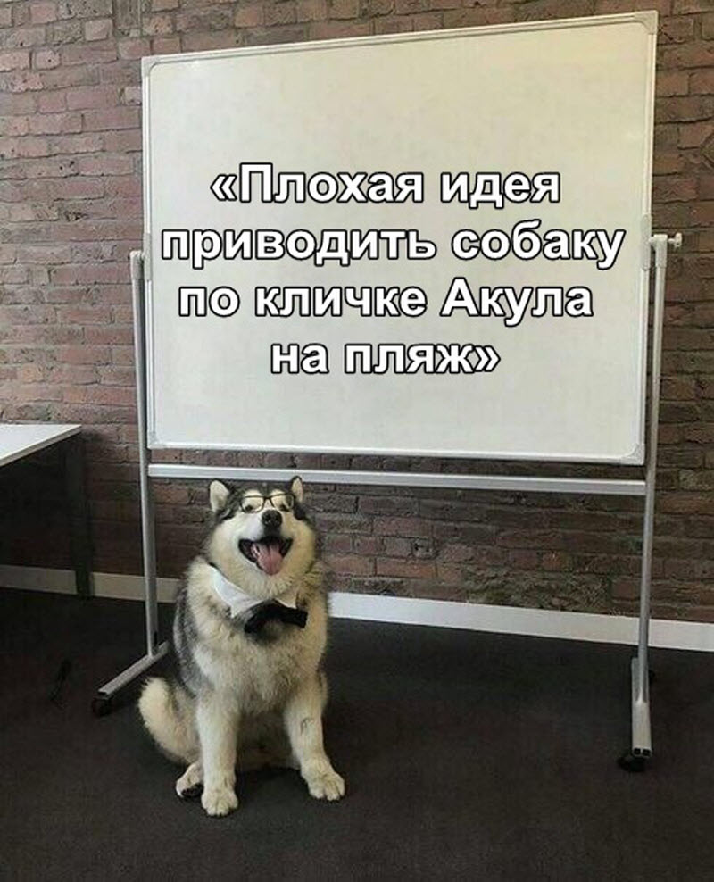 Прикольные картинки