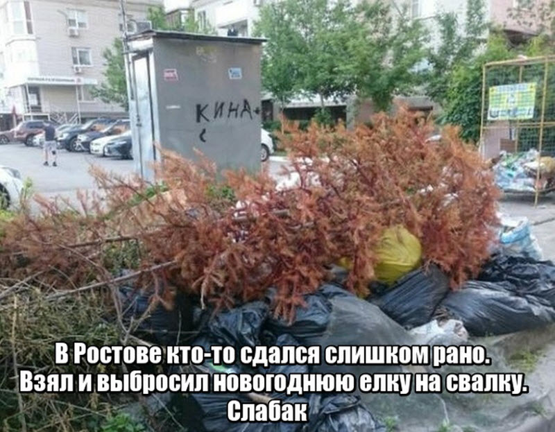 Прикольные картинки