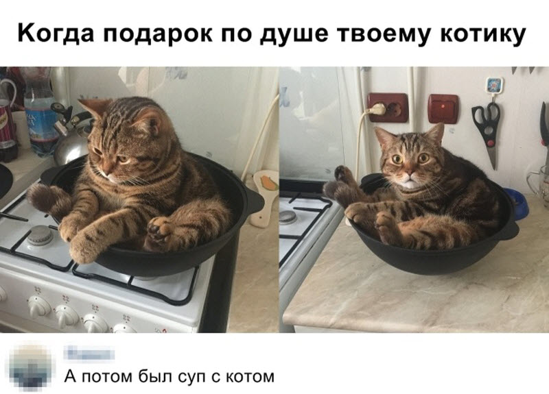 Прикольные картинки