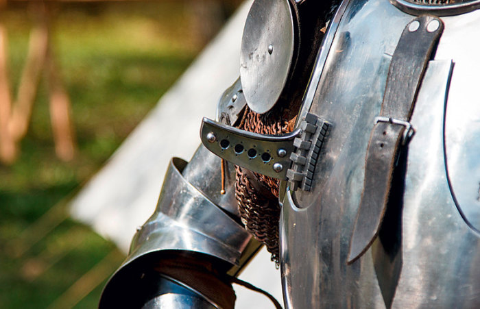 Любопытные факты о жизни рыцарей Любопытные факты о жизни рыцарей