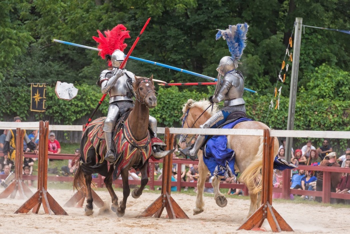 Любопытные факты о жизни рыцарей Любопытные факты о жизни рыцарей