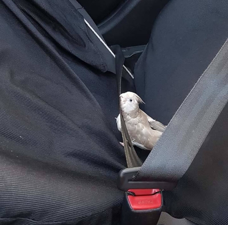 Прикольные картинки