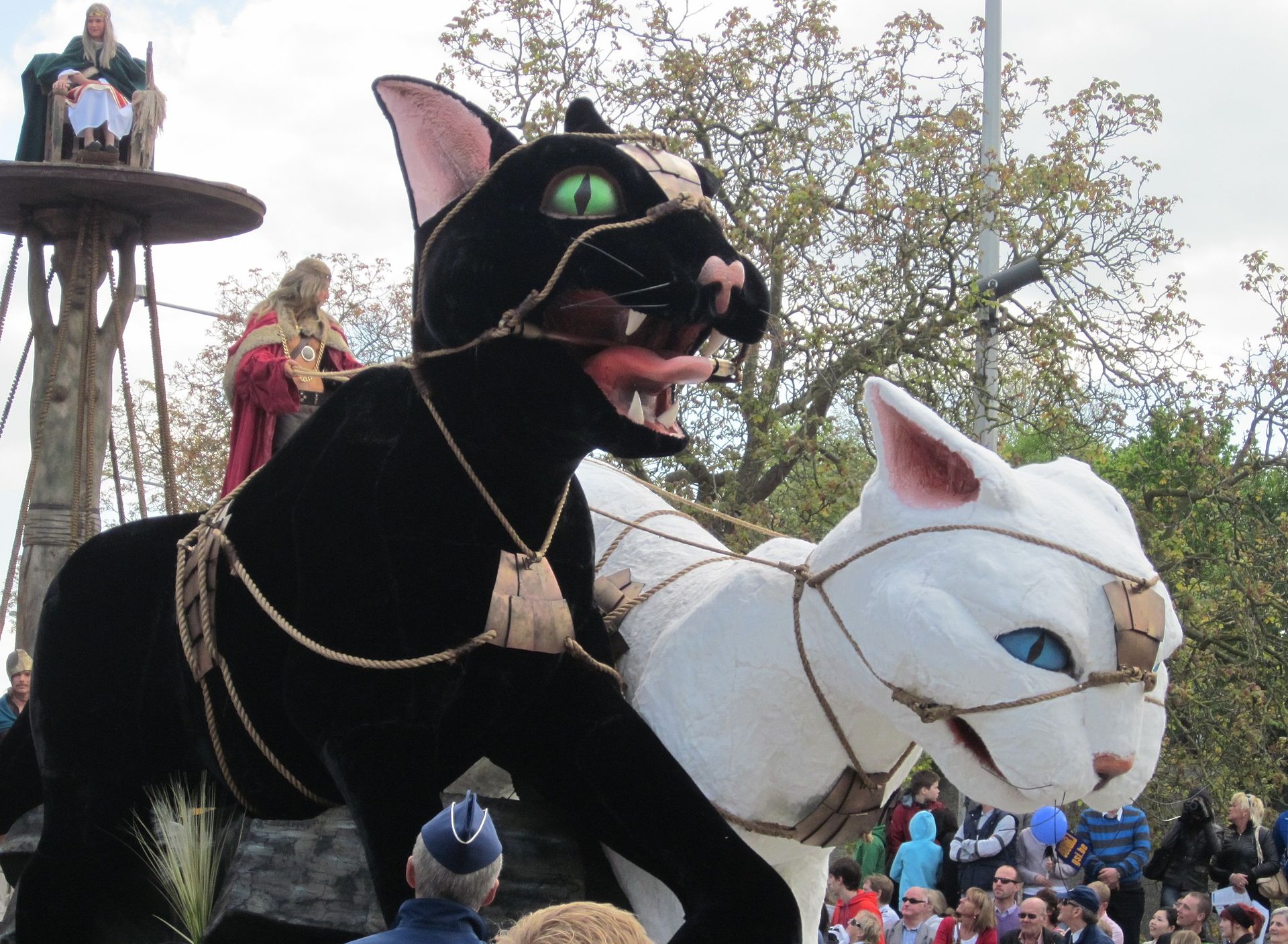 Причины неприязни католической церкви к кошкам