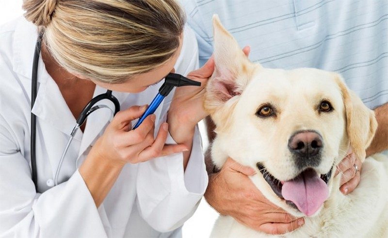 Десять самых востребованных профессий в мире