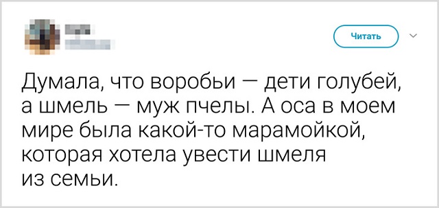 Список смешных небылиц, в которые мы искренне верили в детстве
