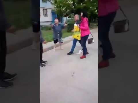  Запорожское побоище
