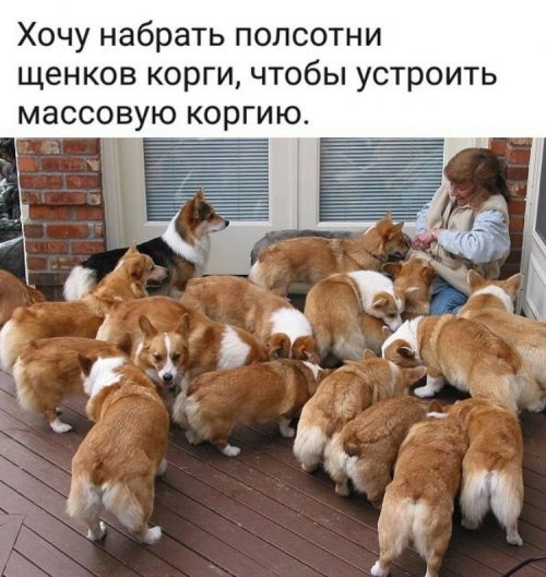 Забавные картинки