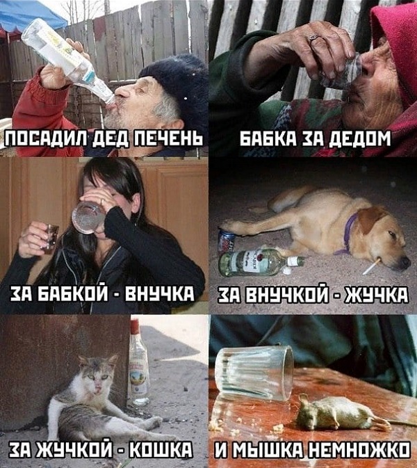 Забавные картинки