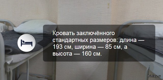 Виртуальная экскурсия по камере футболиста Павла Мамаева в СИЗО 