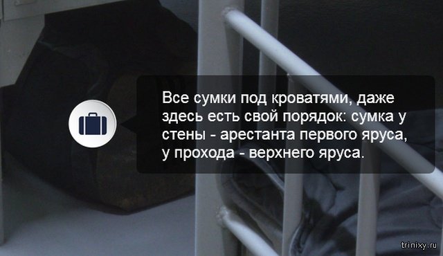Виртуальная экскурсия по камере футболиста Павла Мамаева в СИЗО 