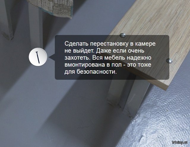 Виртуальная экскурсия по камере футболиста Павла Мамаева в СИЗО 