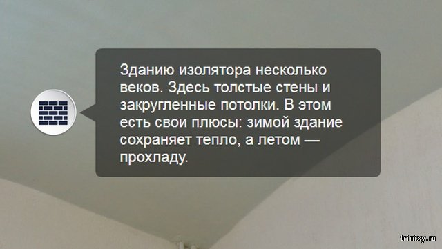 Виртуальная экскурсия по камере футболиста Павла Мамаева в СИЗО 