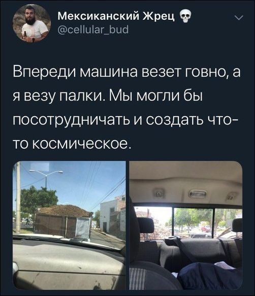 Забавные картинки