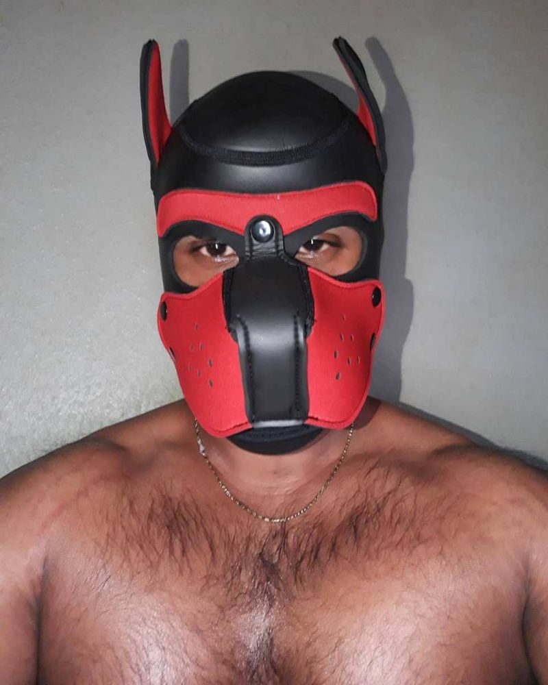 BDSM-сообщество "pup play", члены которого косят под собак