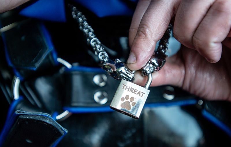BDSM-сообщество "pup play", члены которого косят под собак