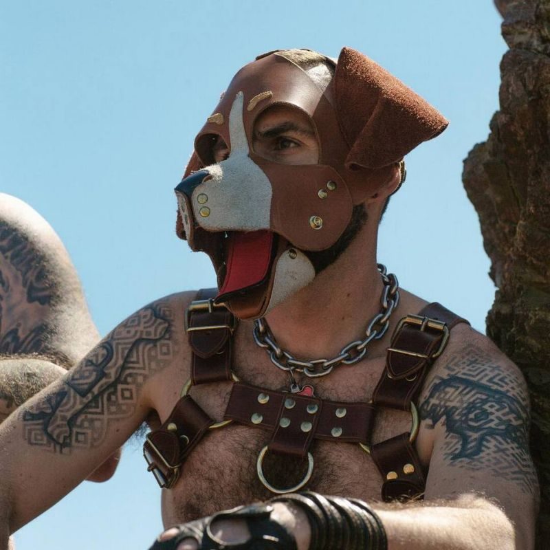 BDSM-сообщество "pup play", члены которого косят под собак