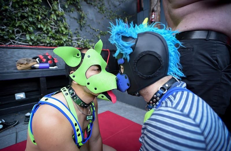 BDSM-сообщество "pup play", члены которого косят под собак